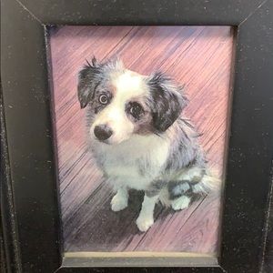 Meet your Posher, Nicholas